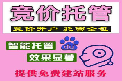 百度竞价运营策略：成功案例解析